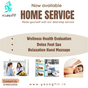 Wellness Home Service